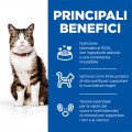 Hill's Science Plan Culinary Creations Cat Adult Salmone e Carote kg 1,5